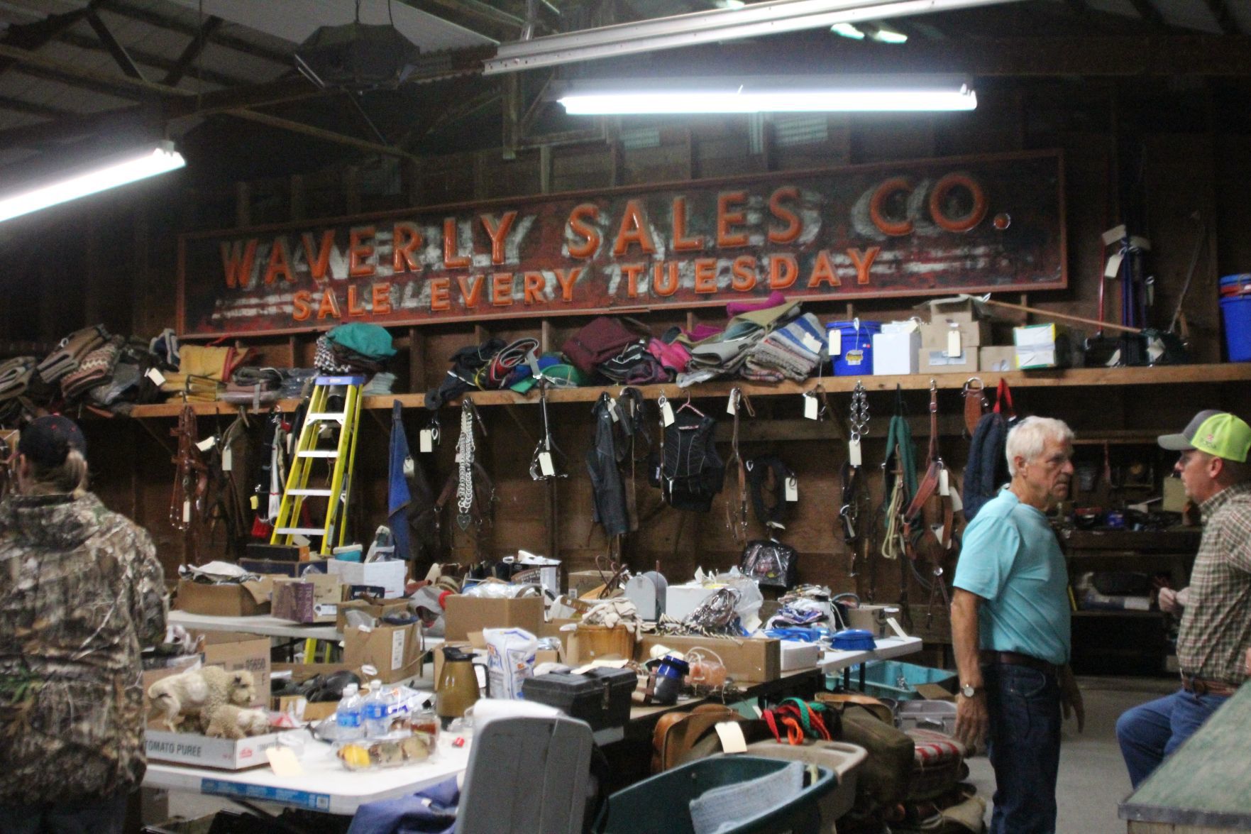 Warehouse at Waverly Midwest Horse Sale